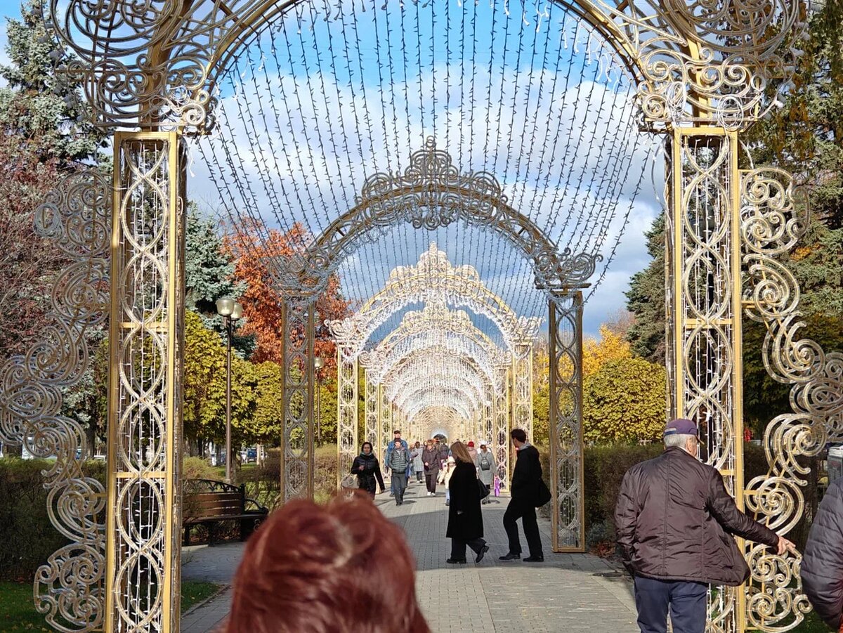    Фото: Юрий Серебренников/BFM Кубань