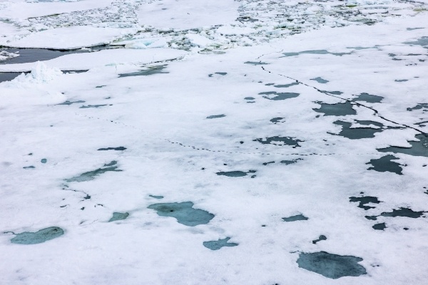 Фото: РИА Новости/Илья Тимин