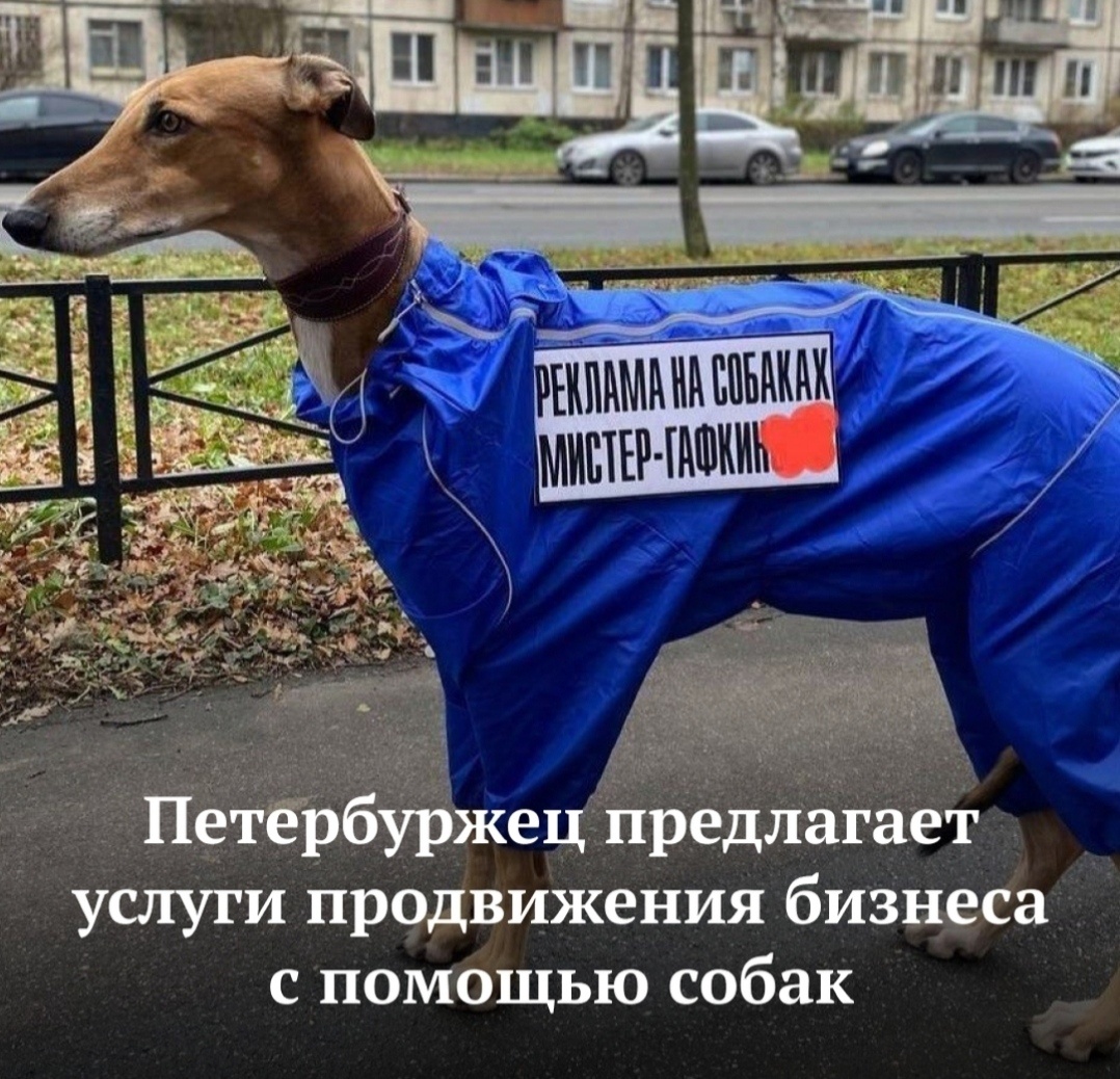 Вот они, гении.😁