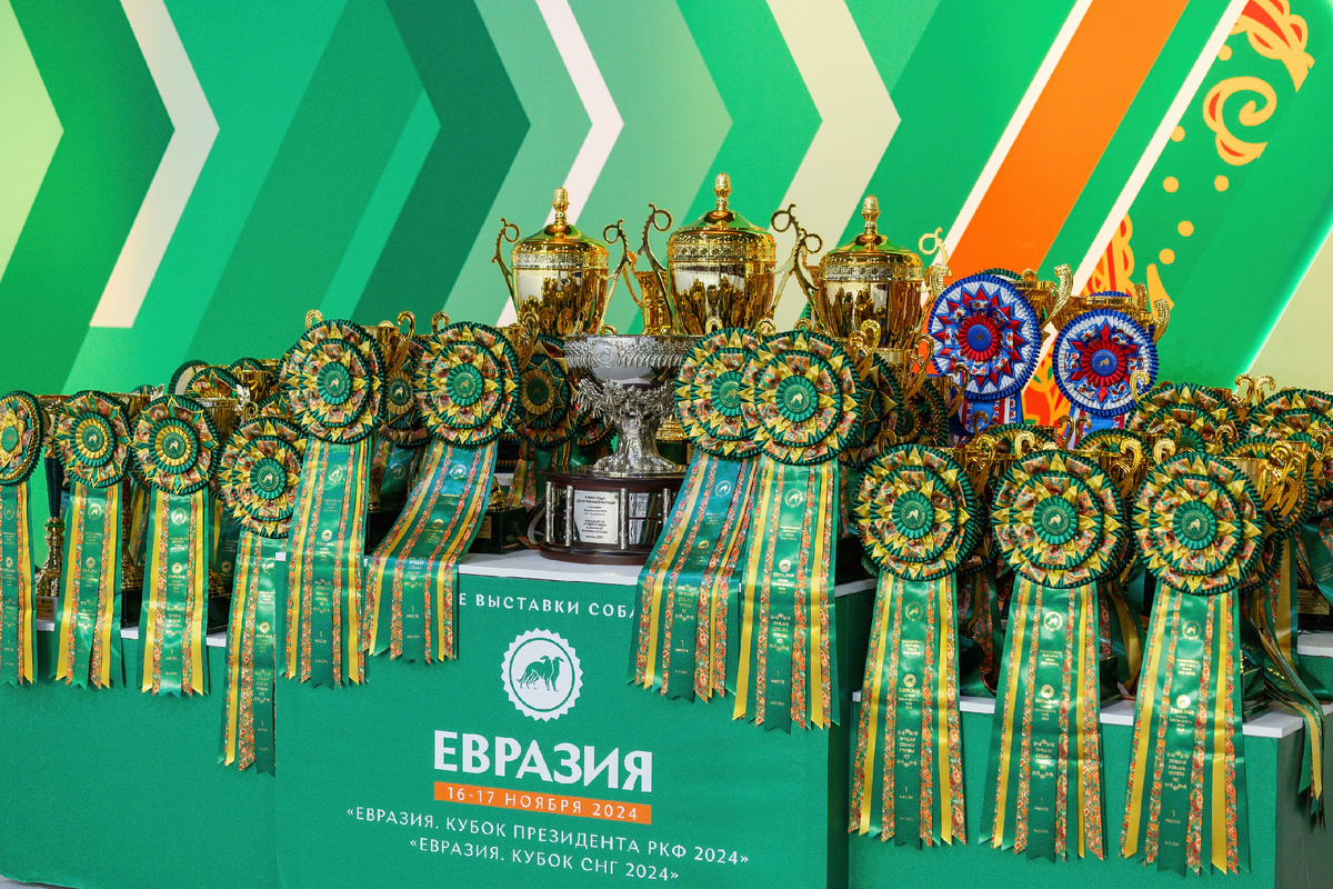 Желанные призы