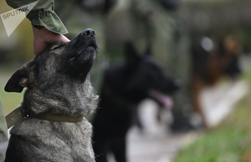 Занятия по боевой подготовке военнослужащих по контракту по специальностям Инженерных войск