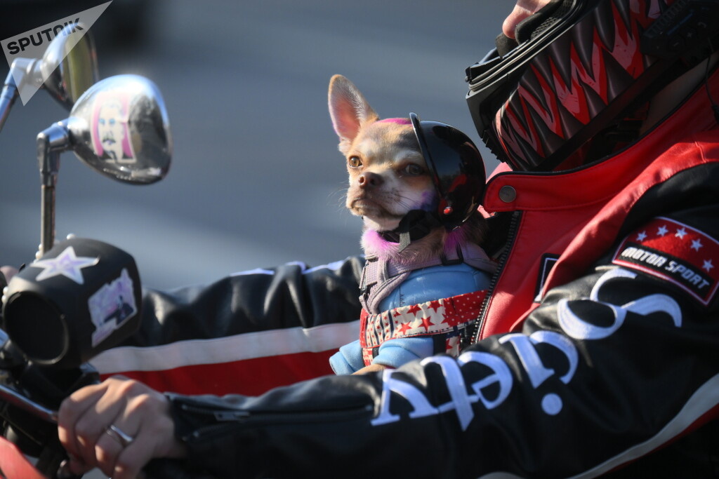 Участники мотопробега на закрытии мотосезона 2024 в Байк-Центре