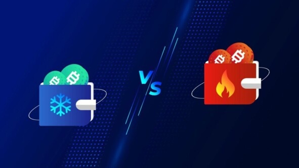 холодные и горячие криптокошельки