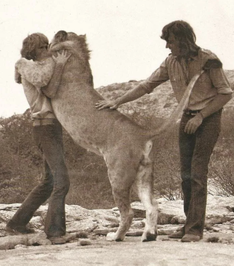 Когда твоя кошка проголодалась, и стала использовать новую тактику попрошайничества корма