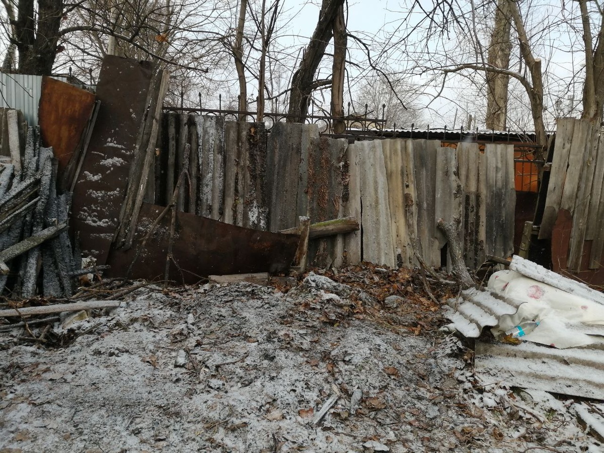 Фото прошлогоднее. 