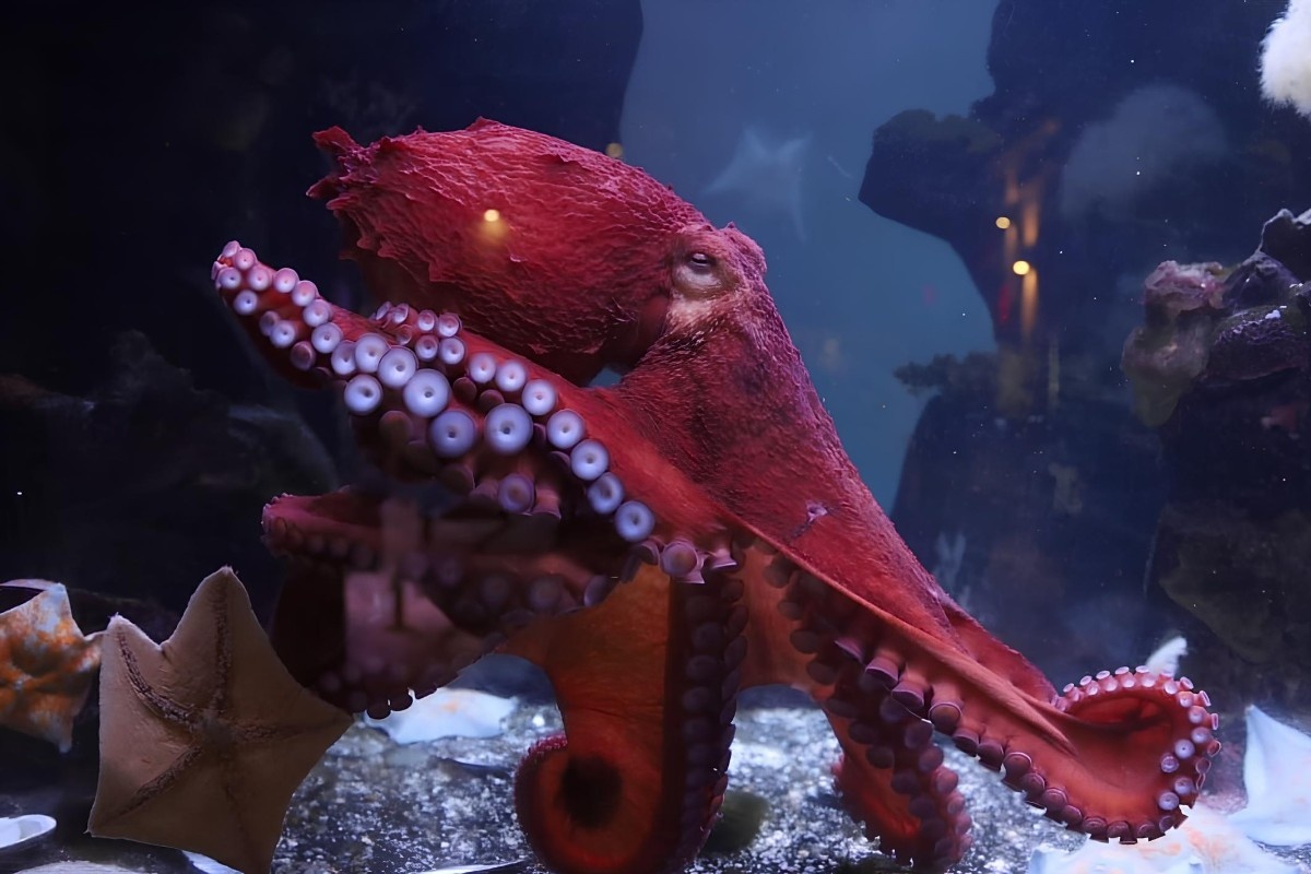 Фото: пресс-служба Московского зоопарка