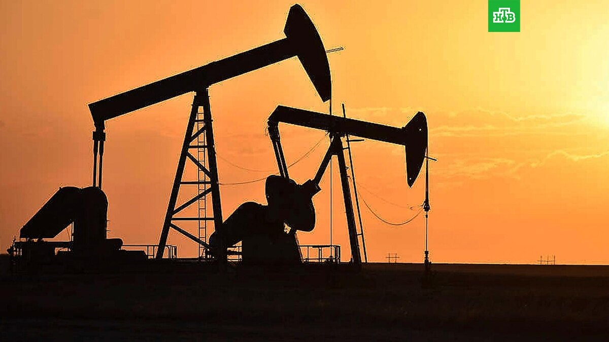    Фото: Associated Press © 2024, Matt Brown