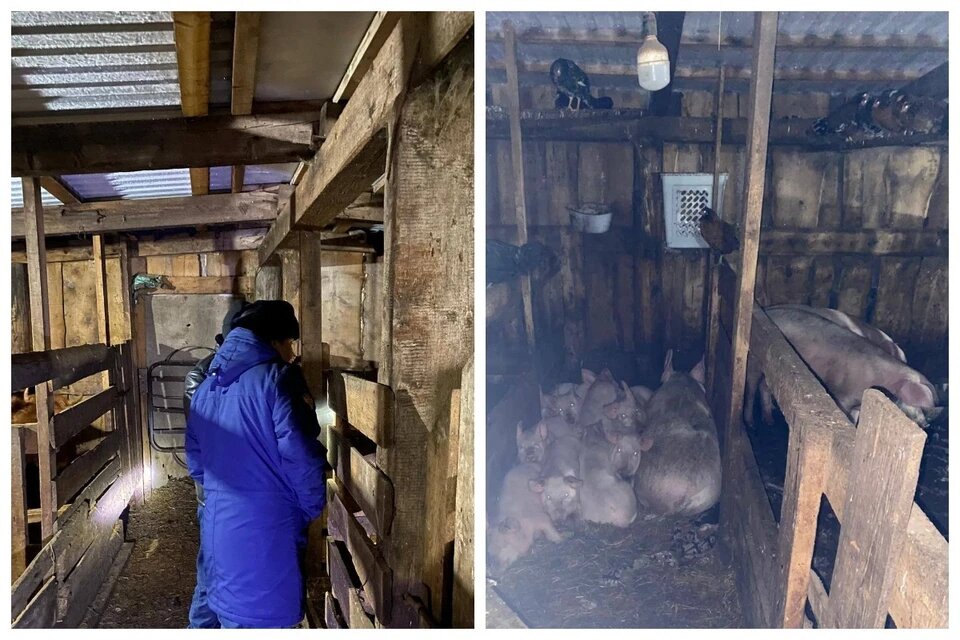 Место ЧП. Фото: прокуратура Красноярского края.