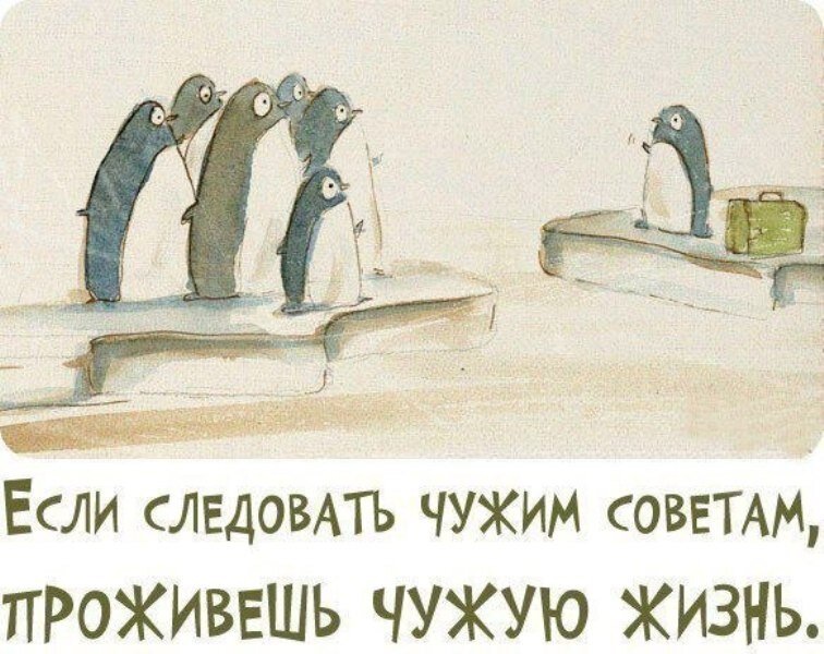 Источник: https://avatars.dzeninfra.ru/get-zen_doc/1860789/pub_5df0a45b92414d00b2d79435_5e17018cbd639600b132aa9d/scale_1200