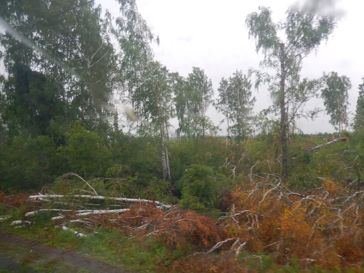 После бури. Все фото мои 