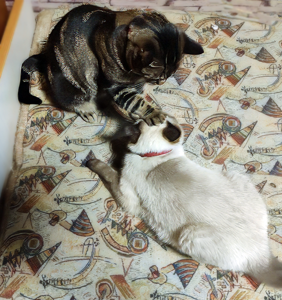 Кайса вправляет Нике мозги. Фото в цвете