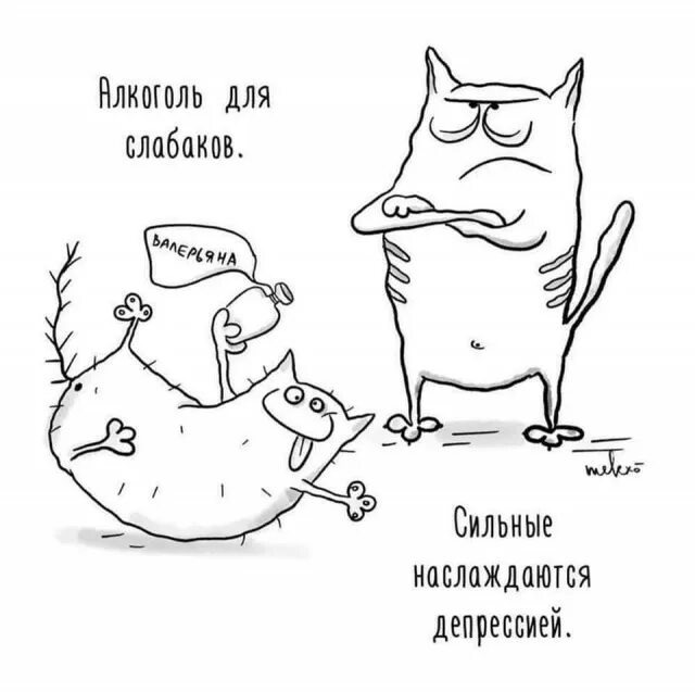 источник Яндекс-картинки