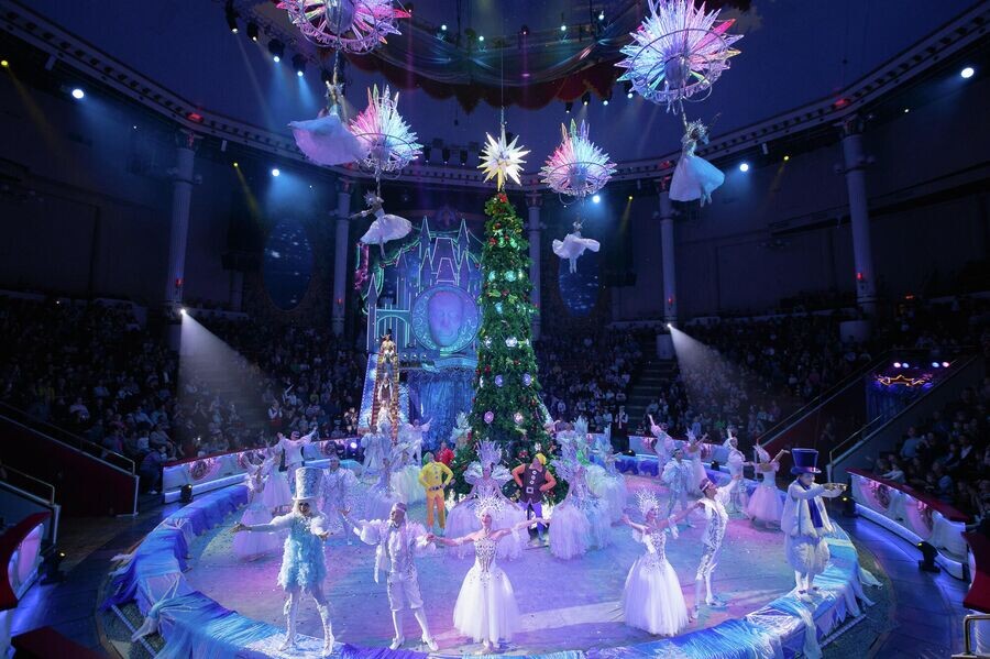 Новогодние шоу в цирке Никулина
