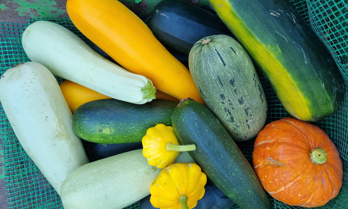 Фото автора. "Кулинарный" в центре.