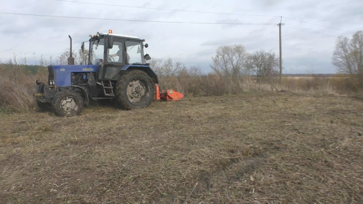 Идеально скосили всю траву по берегам водоемов... 2500 руб/час стоила такая работа