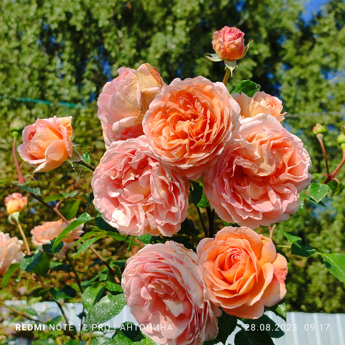 Абрахам Дерби.