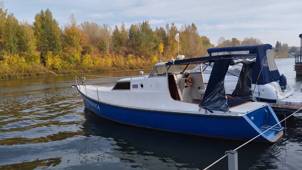 Моя верная Принцесса