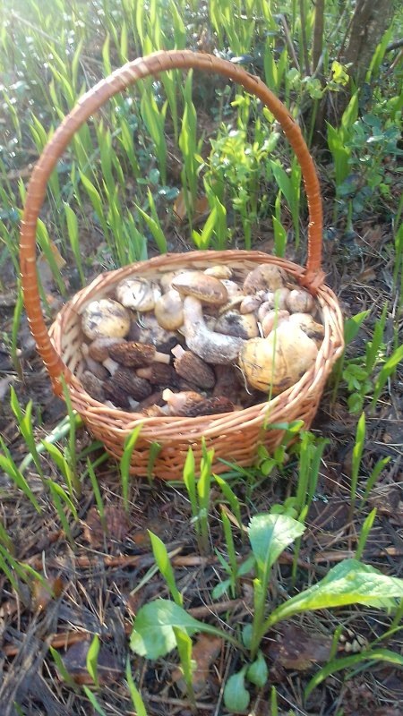 Пасхальная корзина 05. 05.24