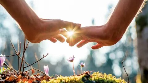 фото из свободных источников