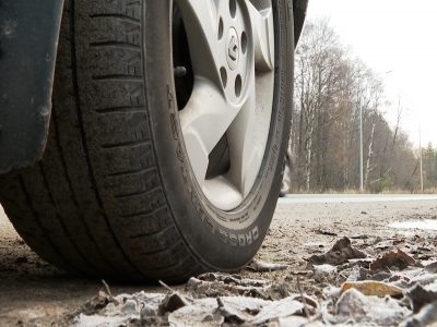    Фото: ГТРК Карелия