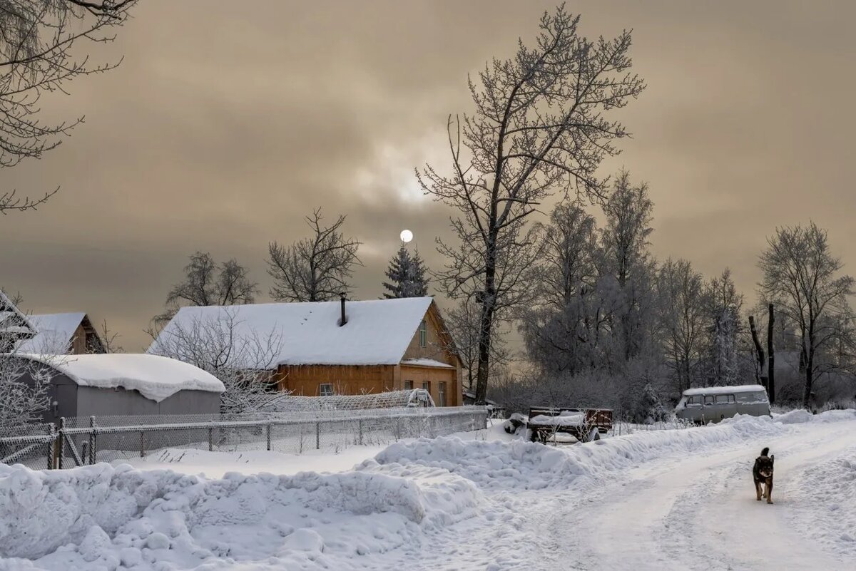 фото из открытого доступного источника сети интернет