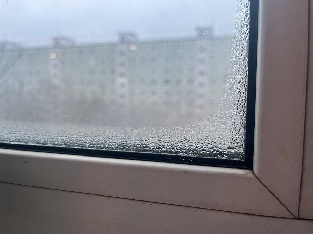 Вот так выглядит конденсат на пластиковых окнах. Производитель профиля для окон неизвестен.