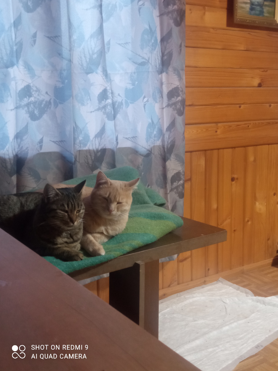 Руфус и Эми. 