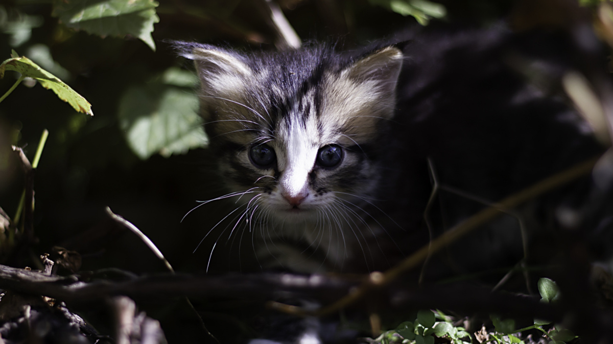 ООО «СДК»📷
