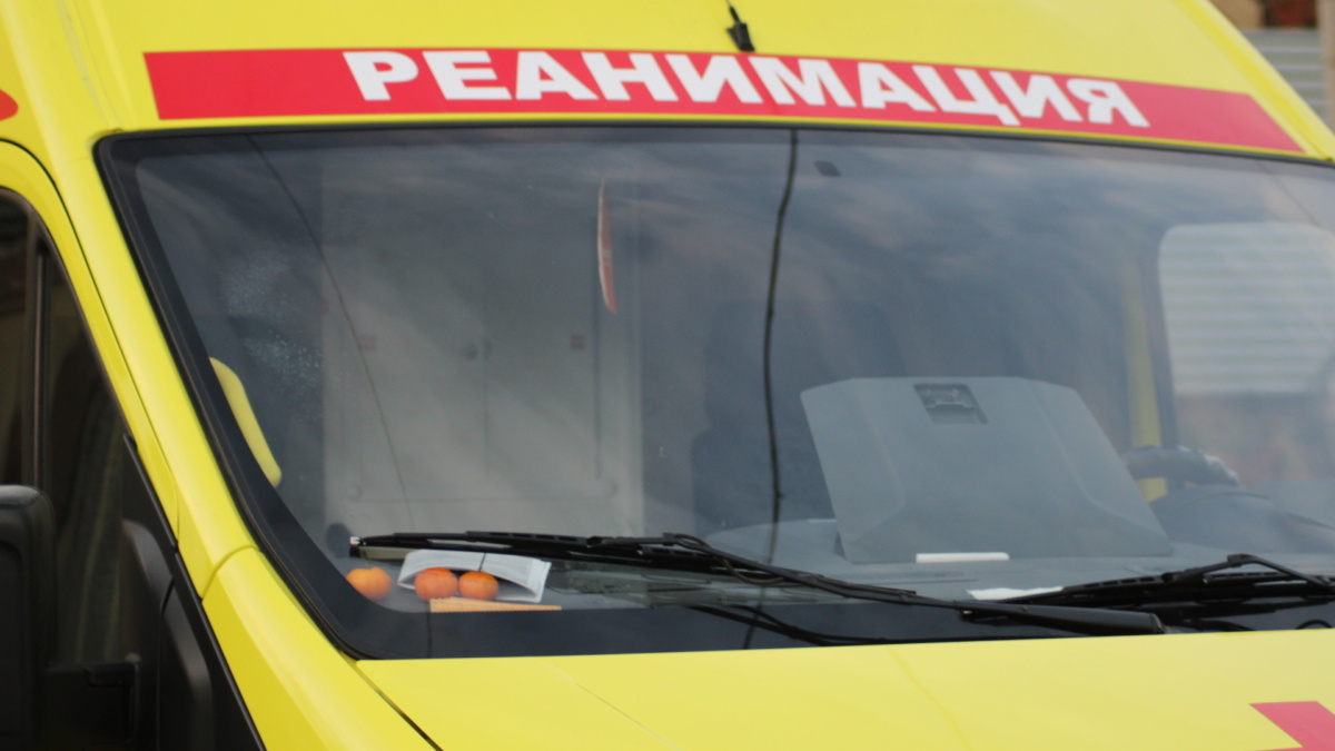 ИА «Тульская пресса»📷
