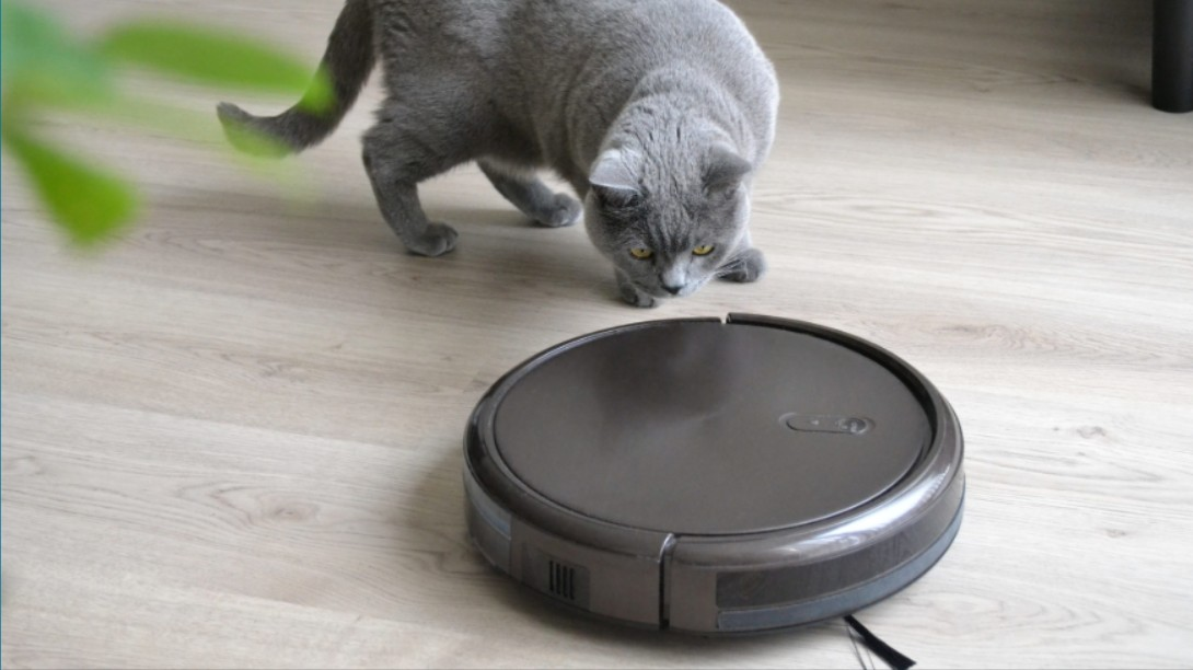 21 век, Россия, Москва