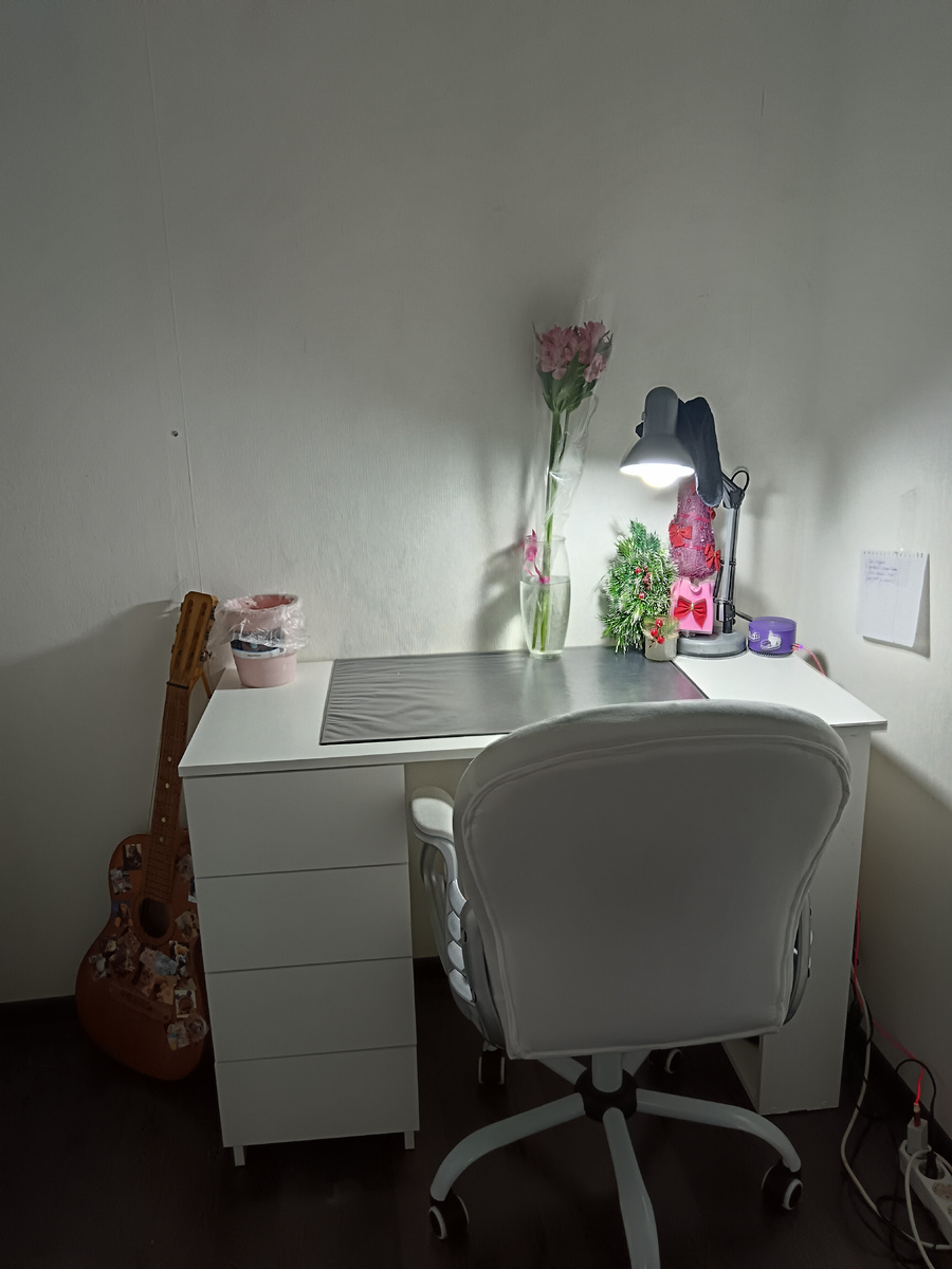 Рабочее место Арины 