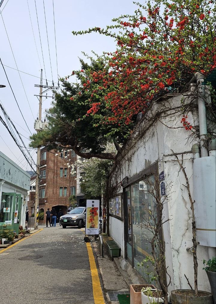 Деревня Букчхон