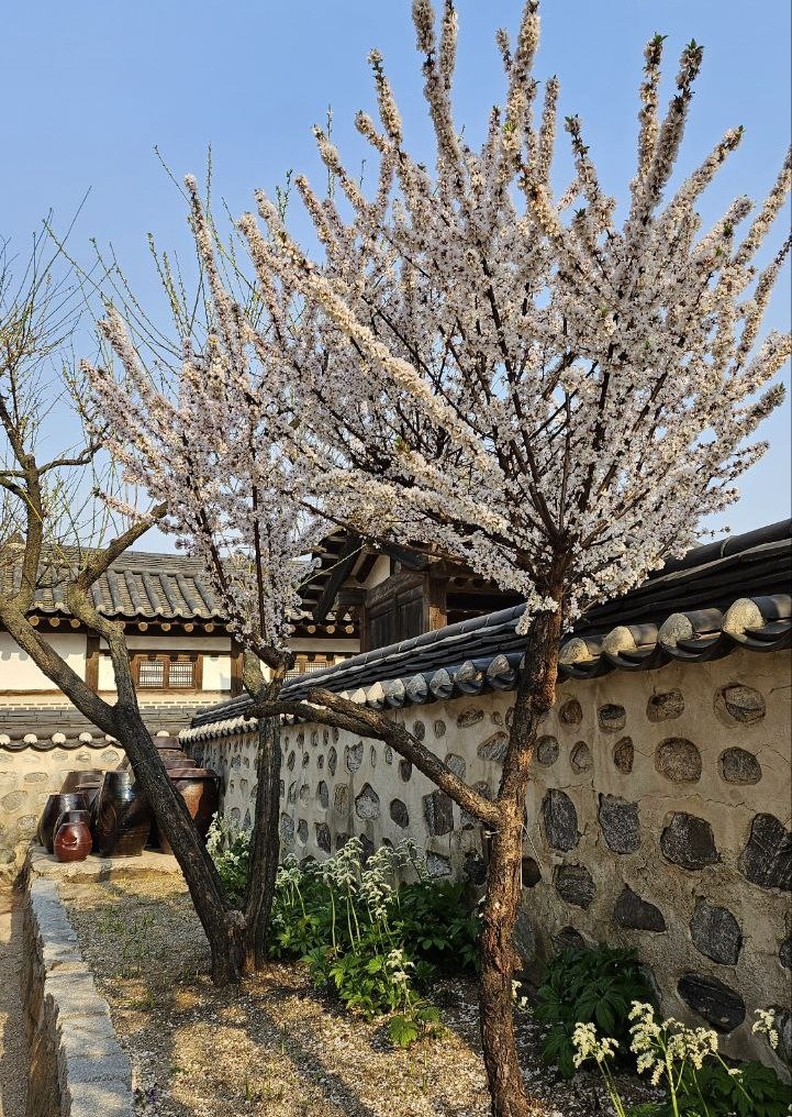 Деревня-музей Намсанголь