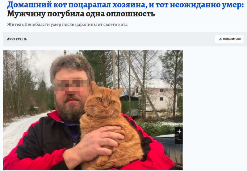     Фото: скриншот с сайта https://www.spb.kp.ru/daily/