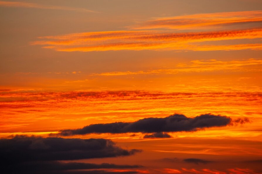    Фото: Svetlana Vozmilova/Global Look Press