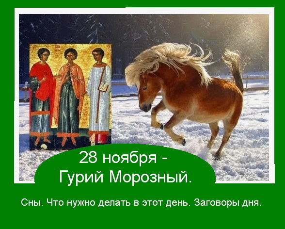 Источник : Яндекс  картинки. 