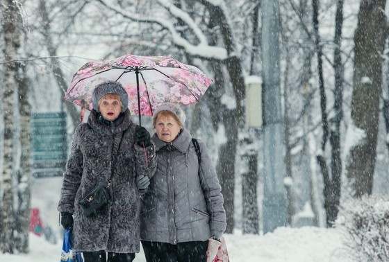    Какие изменения в законах ожидают россиян с 1 декабря 2024 года