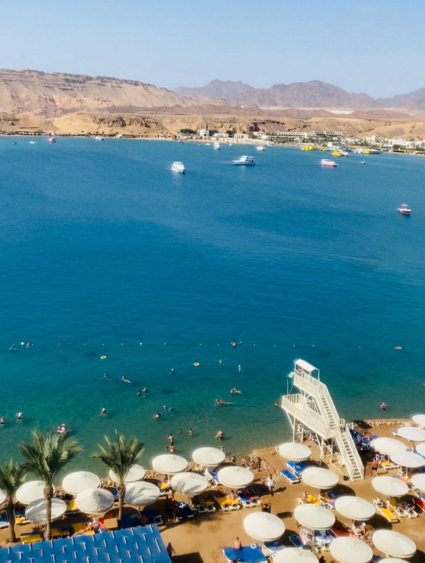 Beach Albatros Sharm 4* Египет