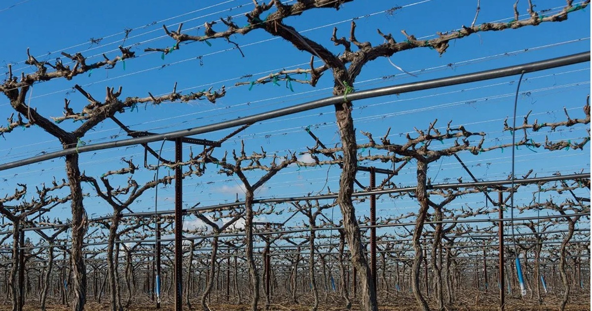 Фото из открытых источников интернета 