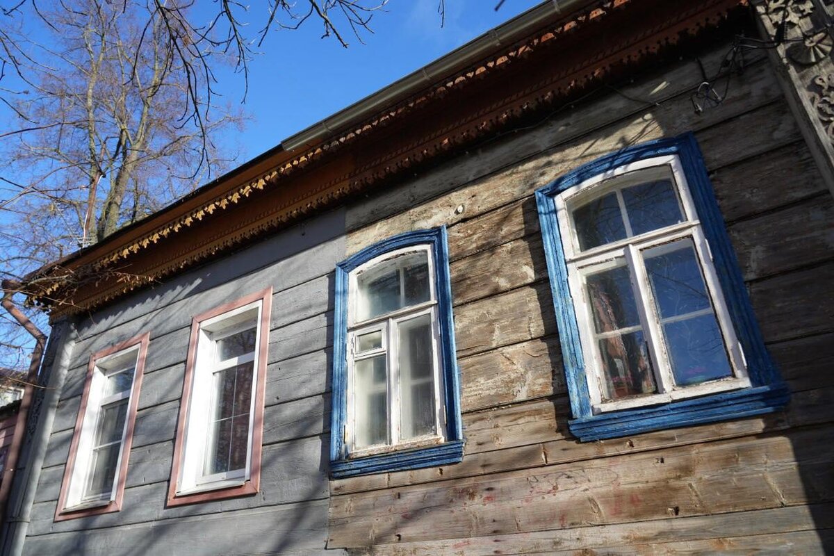 Фотографии Дмитрия Зайчикова, ноябрь 2024