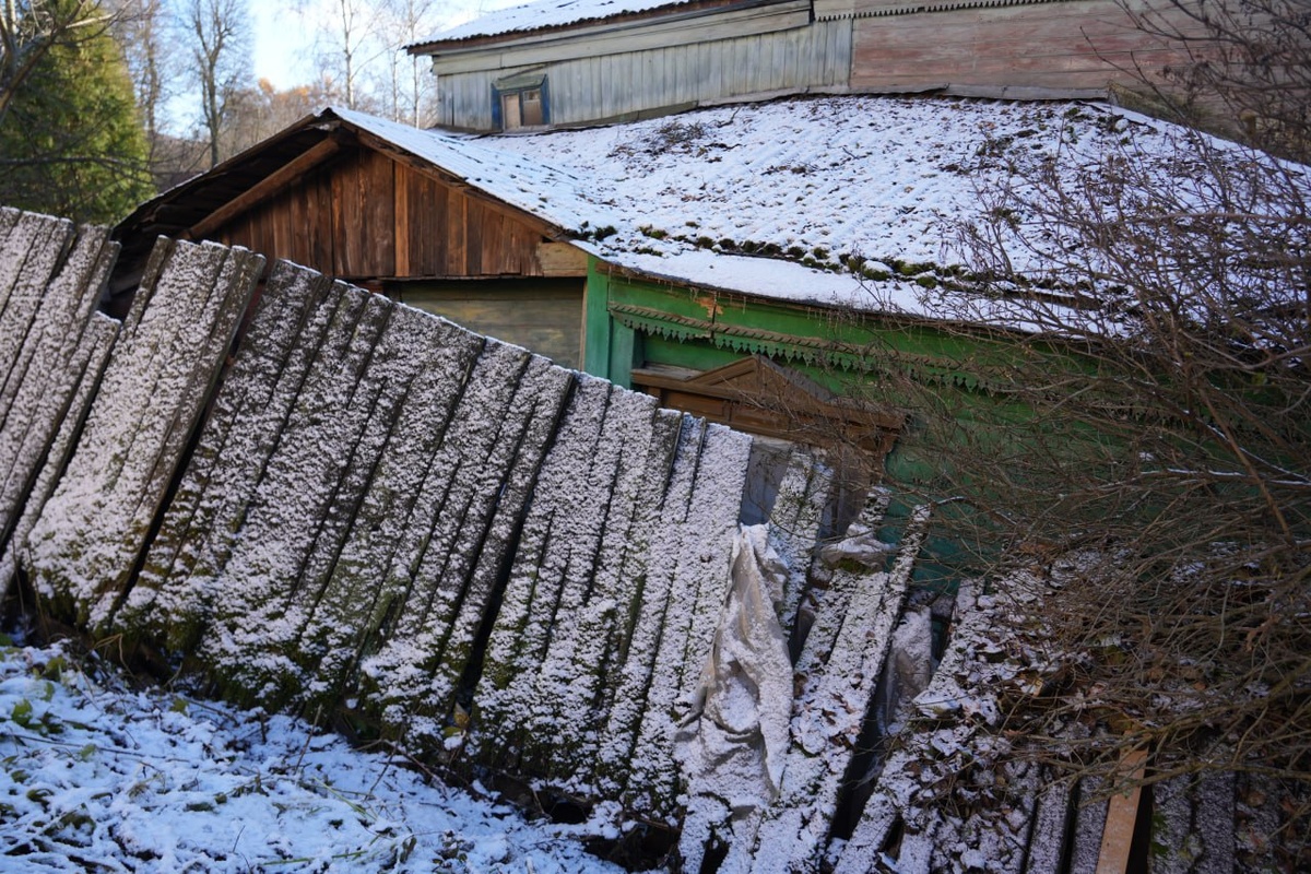 Фотографии Дмитрия Зайчикова, ноябрь 2024