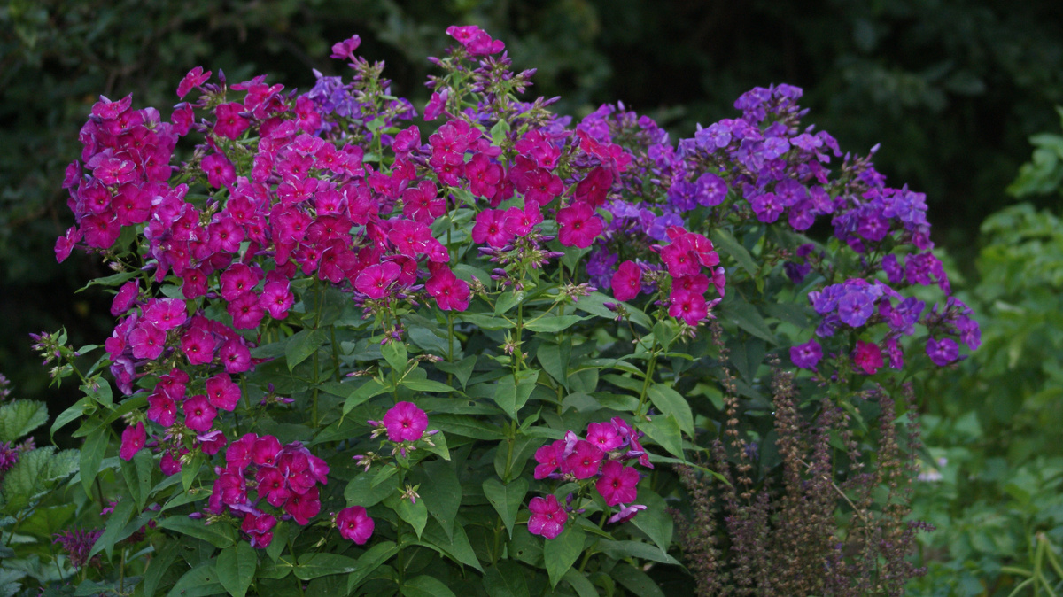 "Хозяйка медной горы" и "Чародей" (на втором плане)