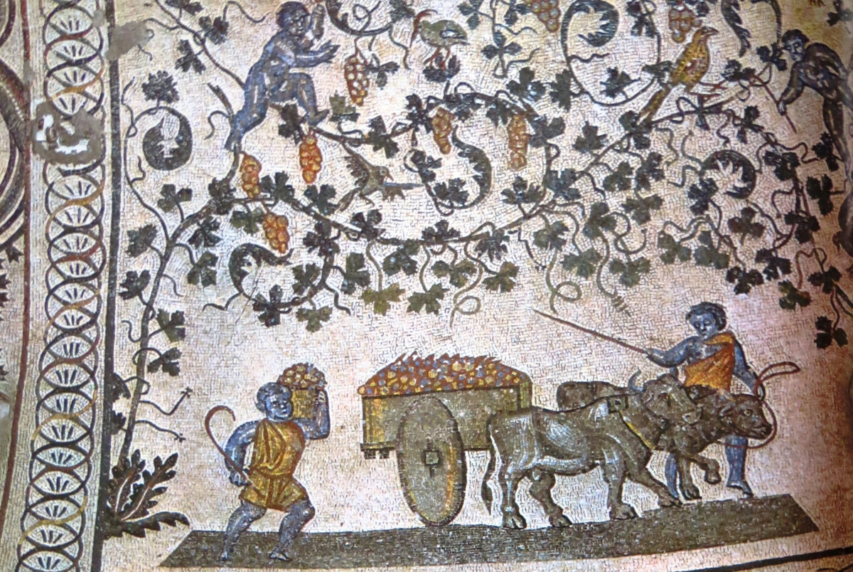 Сбор винограда, мозаика, IV в., Рим. Мавзолей Санта-Констанца