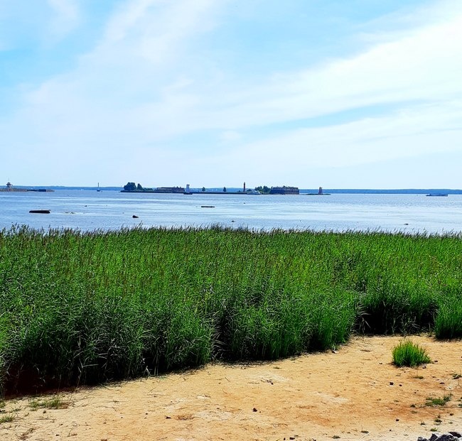 Вид на форты с Острова фортов /фото из личного архива, 2021/