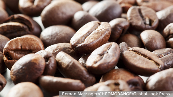     Фото: Roman Marzinger/CHROMORANGE/GLobal Look Press   
 Текст: Валерия Городецкая