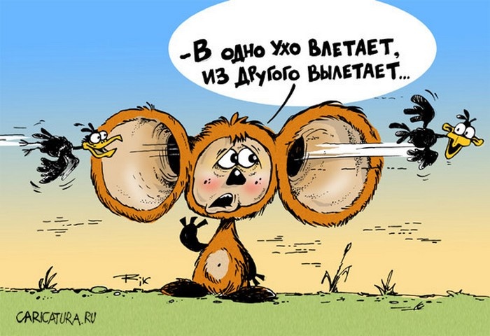 Картинка из Интернета