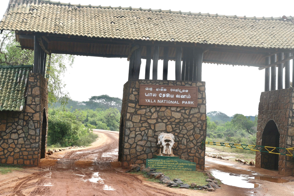 Центральный вход в парк