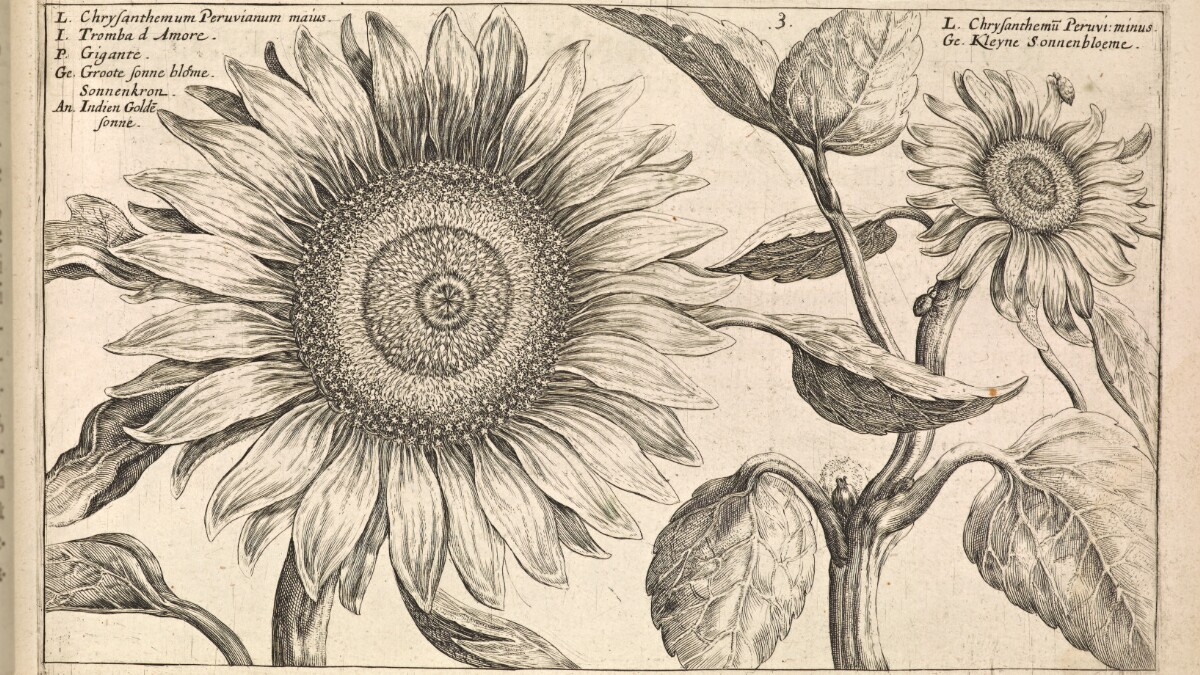 Неизвестных архив.