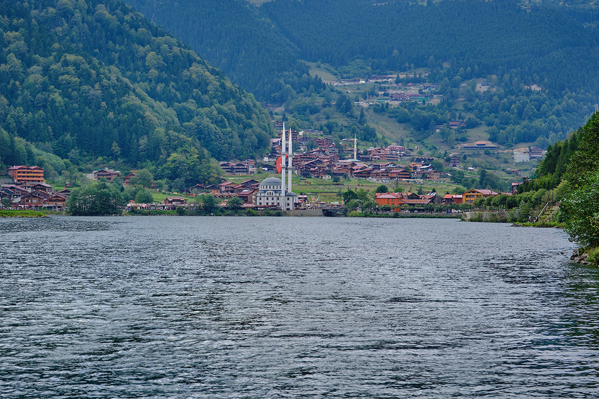    Фото: Creativity lover / Shutterstock.com