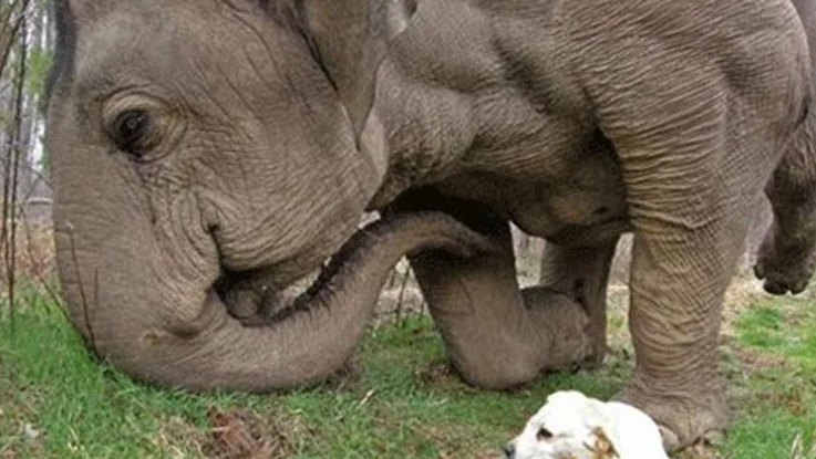 Когда с тобой друг, который не бросает в самой жесткой ситуации: